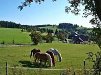 Zum Vergrössern bitte auf das Bild klicken