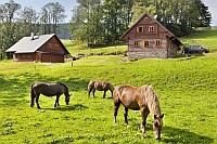 Zum Vergrössern bitte auf das Bild klicken